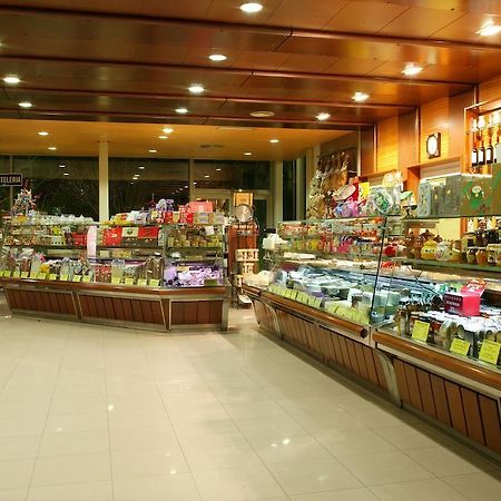 Hotel Los Rosales 알만사 외부 사진